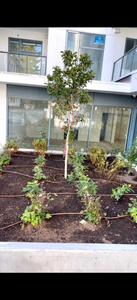 2a13fb2a-92e0-4edc-b313-b711718754de