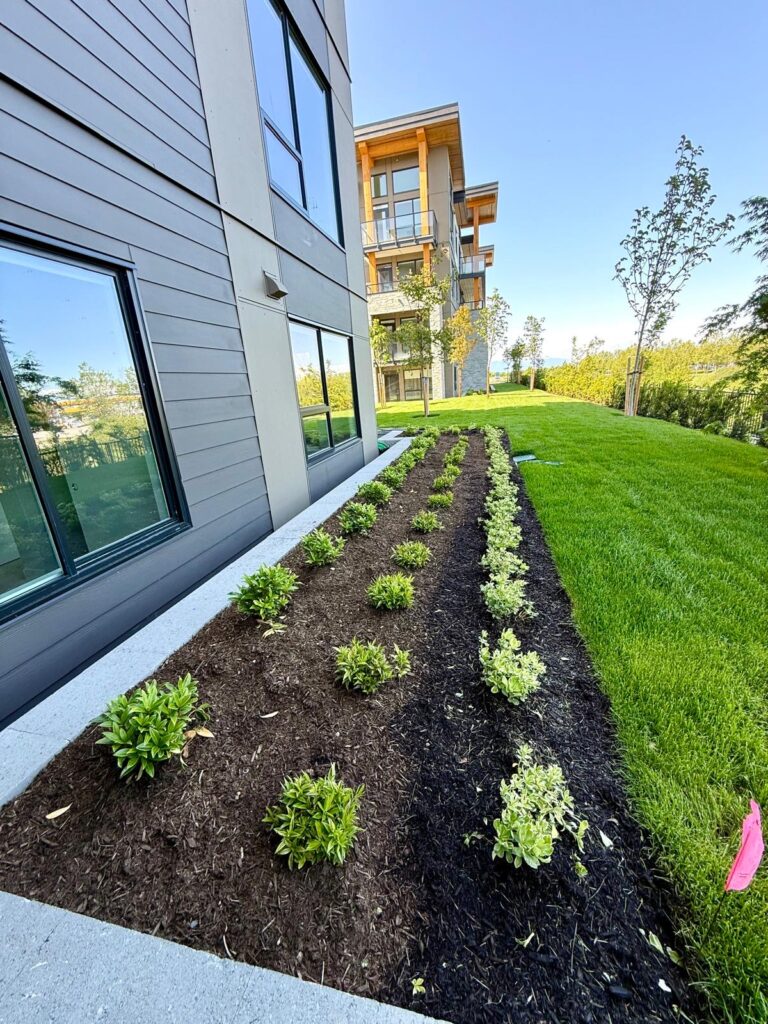 3d3a6211-cb2a-4238-83eb-39d8274598e2