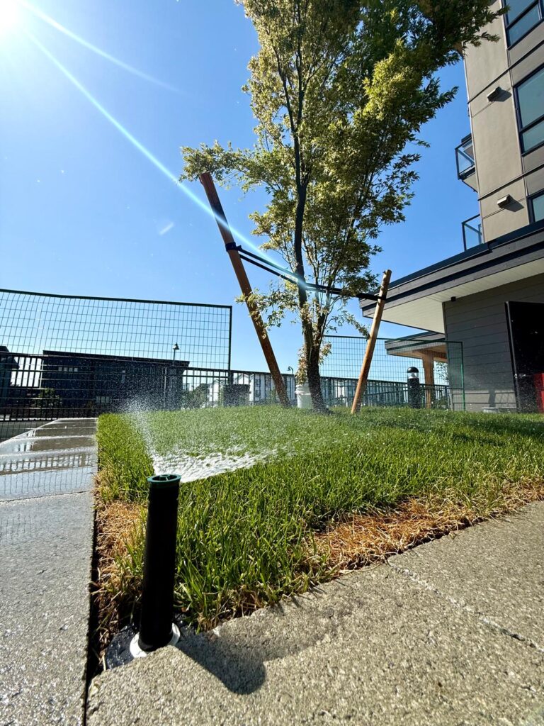 b751afd4-2d7c-48fc-a2fa-fe79b257573a